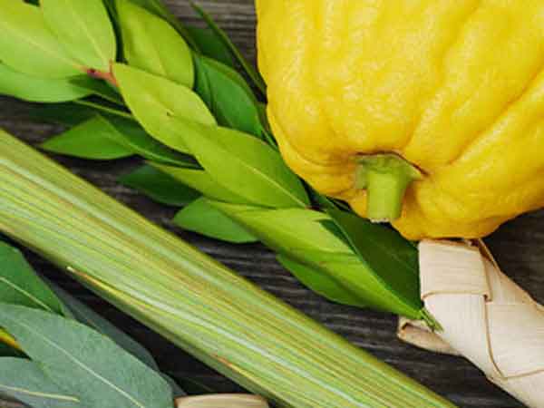 Yellow squash and corn husk.