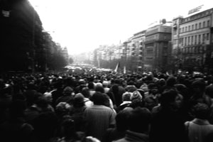 Fight for Freedom and Democracy Day Fight for Freedom and Democracy Day