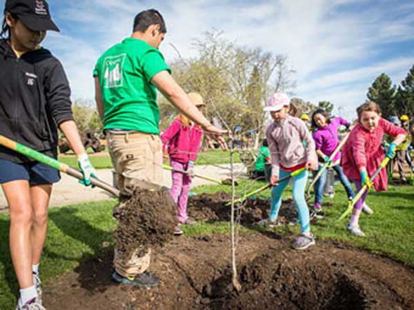 Children planting tree for Arbor Day.