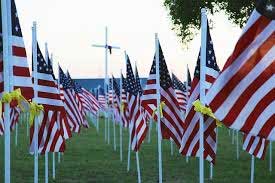 Flags at Arlington cemetary