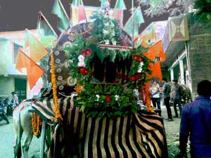 Hindu's celebrating in the streets - Rama Navami Hindu's celebrating in the streets